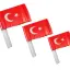 Sopalı Battal Boy Bayrak - 100 Lü