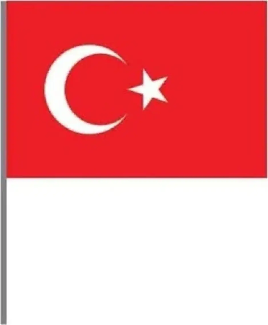 Sopalı Battal Boy Bayrak - 100 Lü