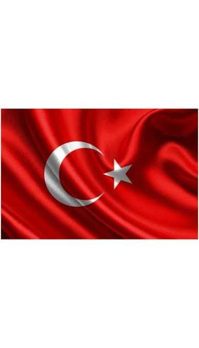Vatan Bayrak Türk Bayrağı 20x30 cm Polyester Kumaş