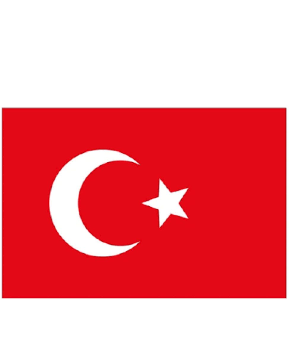 Vatan Bayrak Türk Bayrağı 20x30 cm Polyester Kumaş