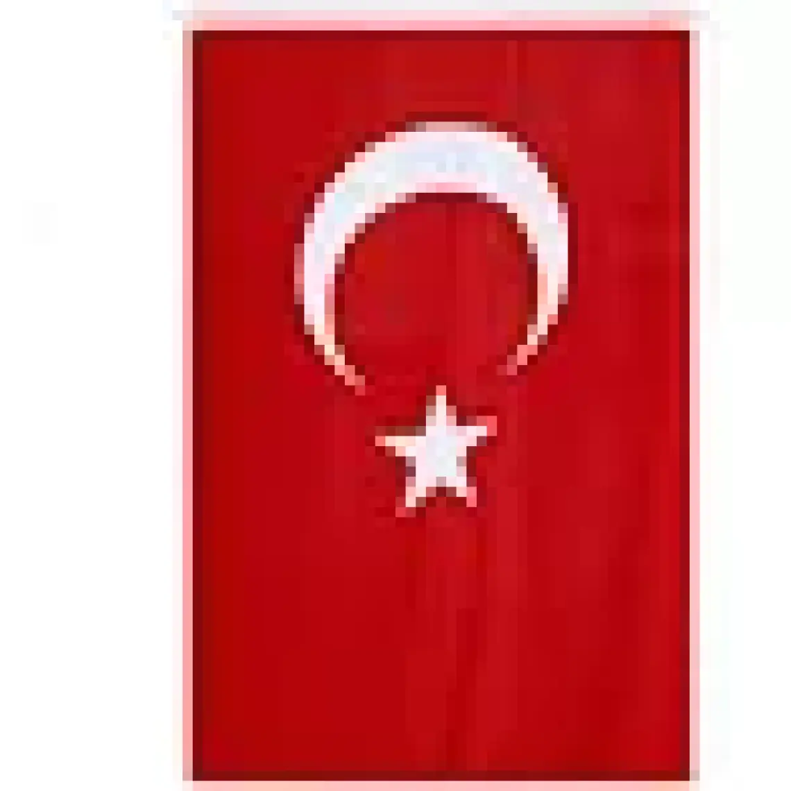 Seçkin Türk Bayrağı 100 x 150 cm