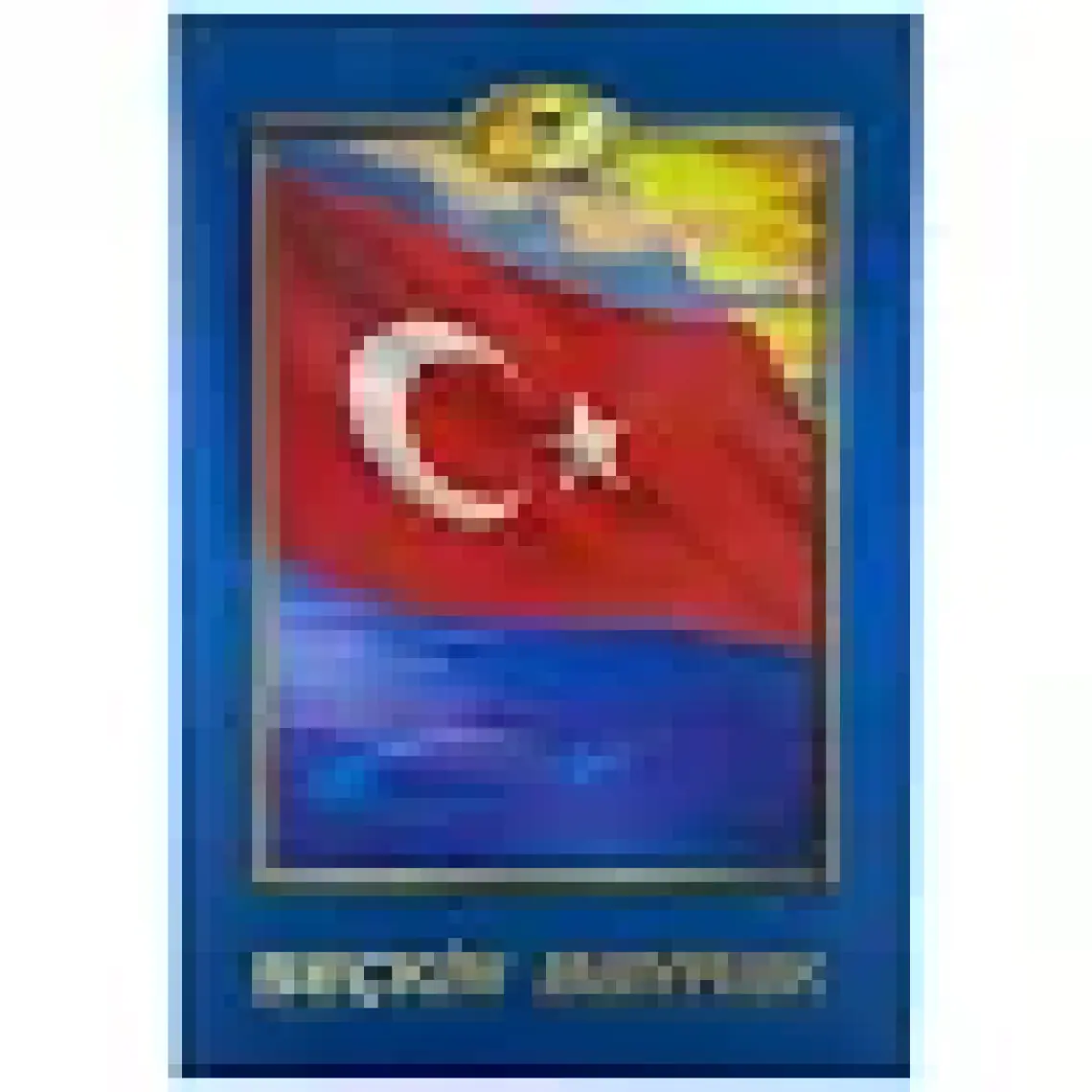 Seçkin Türk Bayrağı 100 x 150 cm