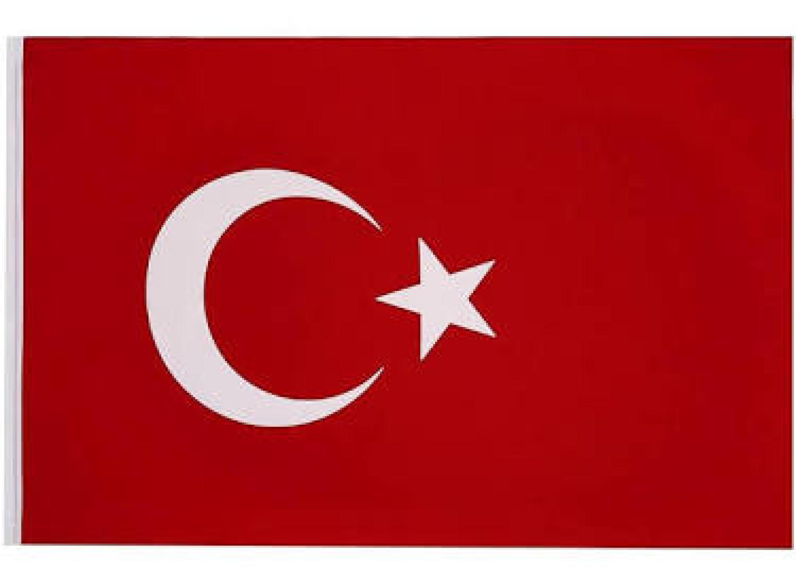 Erol Türk Bayrağı 70 x 105 cm Alpaka