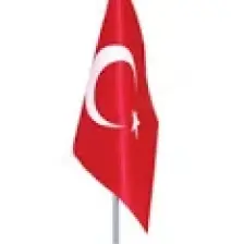Bayrak Online Türk Masa Bayrağı Tekli Direkli Takım