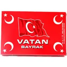 Vatan Bayrak Polyester 50X75 VT104