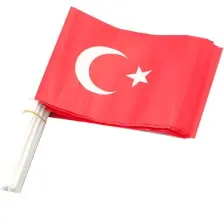 Vatan Büyük Çıtalı Kağıt Bayrak 50 Li VT803