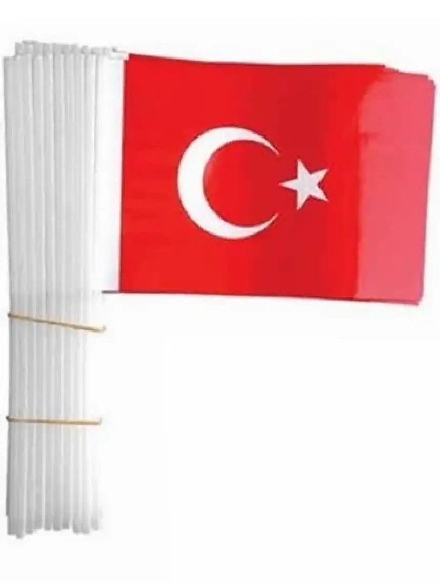 Vatan Büyük Çıtalı Kağıt Bayrak 50 Li VT803