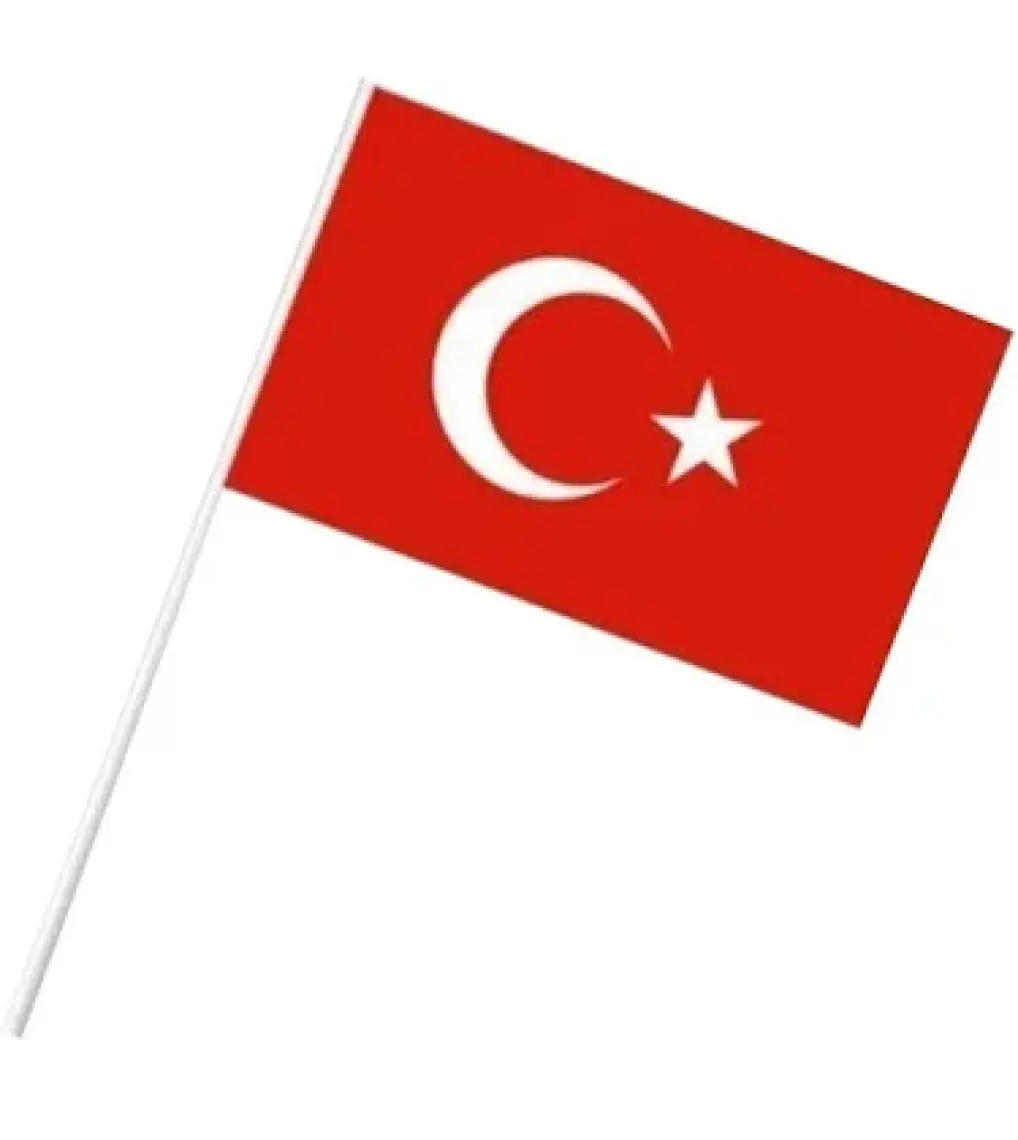 Vatan Büyük Çıtalı Kağıt Bayrak 50 Li VT803