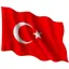 Vatan Bayrak Polyester 100X150