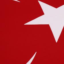 Buket Türk Bayrağı 30X45 Bkt-102