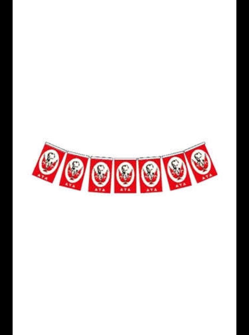 Vatan Büyük Boy 18x11 cm İpli Kağıt Atatürklü Bayrak 50 li