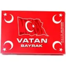 Vatan Bayrak Polyester 300X450