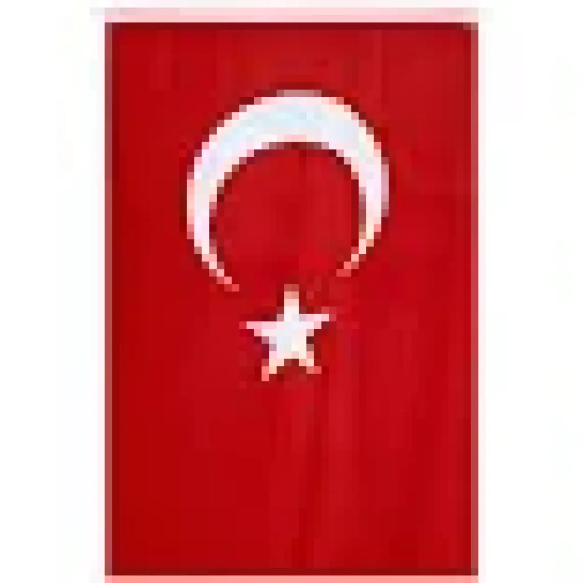 Vatan Bayrak Polyester 300X450