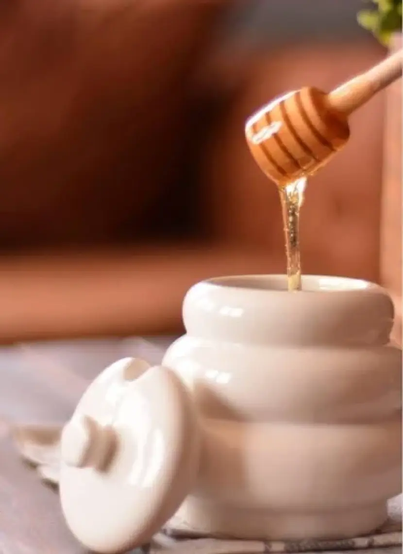 Honey Bal Saklama Kabi