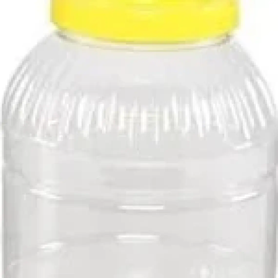 Leva Pet Bidon 2 lt