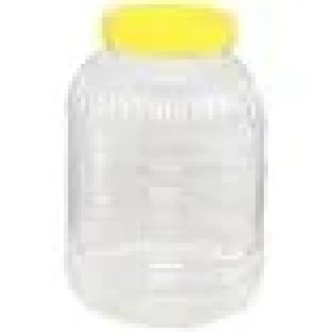 Leva Pet Bidon 2 lt