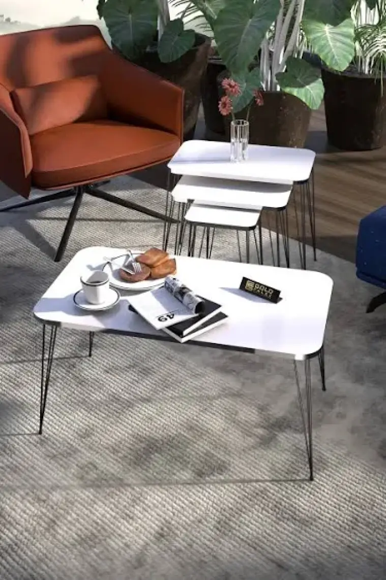 Zigon Sehpa Kr Ve Orta Sehpa Kr Set Gümüş Bendir Tel Ayak Siyah