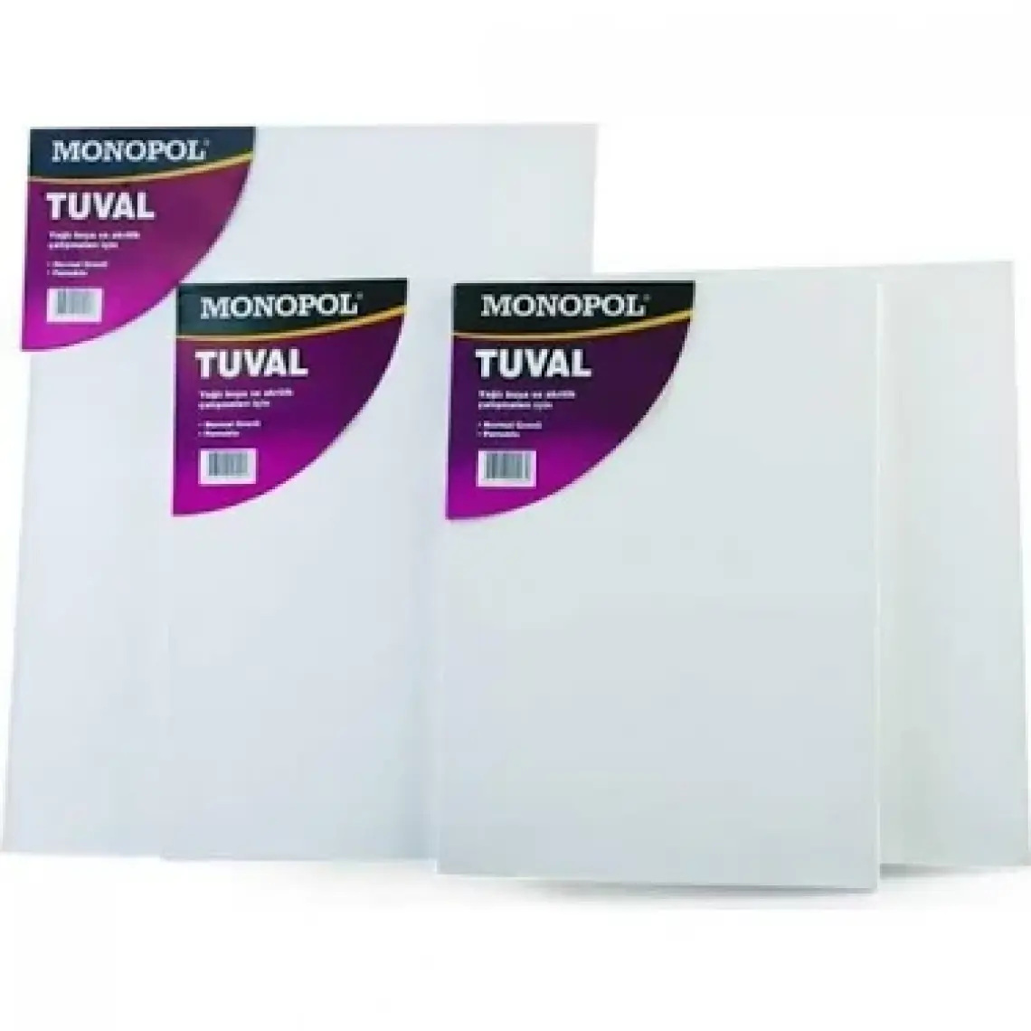 Monopol Tuval Çerçeveli 20X20 1730