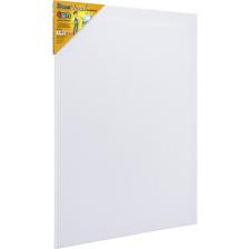Brons BR-5002 Fun Serisi Tuval 50 x 70 cm