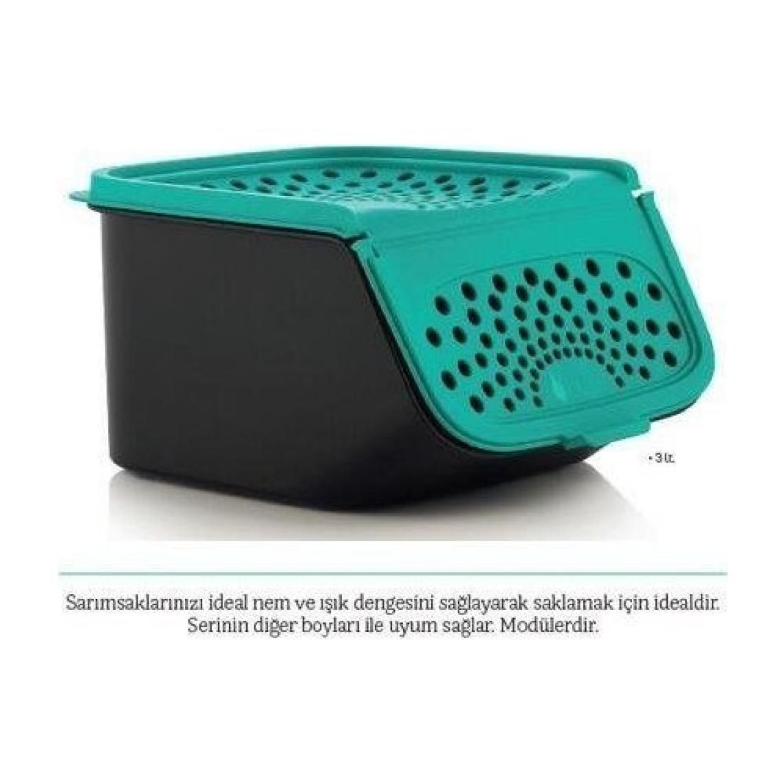 Tupperware Sarımsak Saklama Kabı 2,3 L