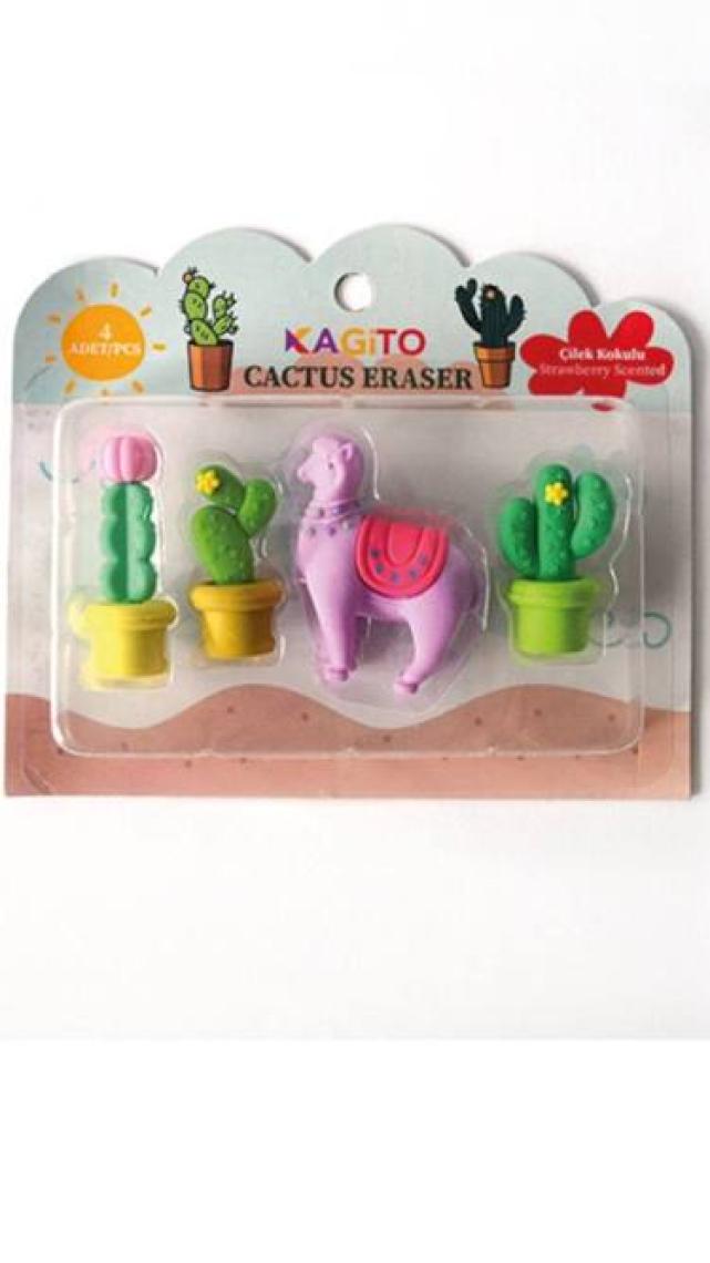 Kagito Kaktüs Silgi Seti 4’lü