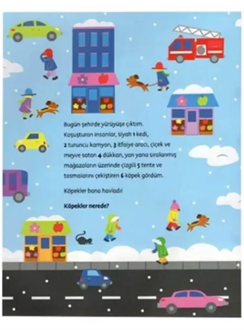 Hadi Gezelim Şehirde Kış Ara-bul Kitabı - Sue Tarsky 9786254050169