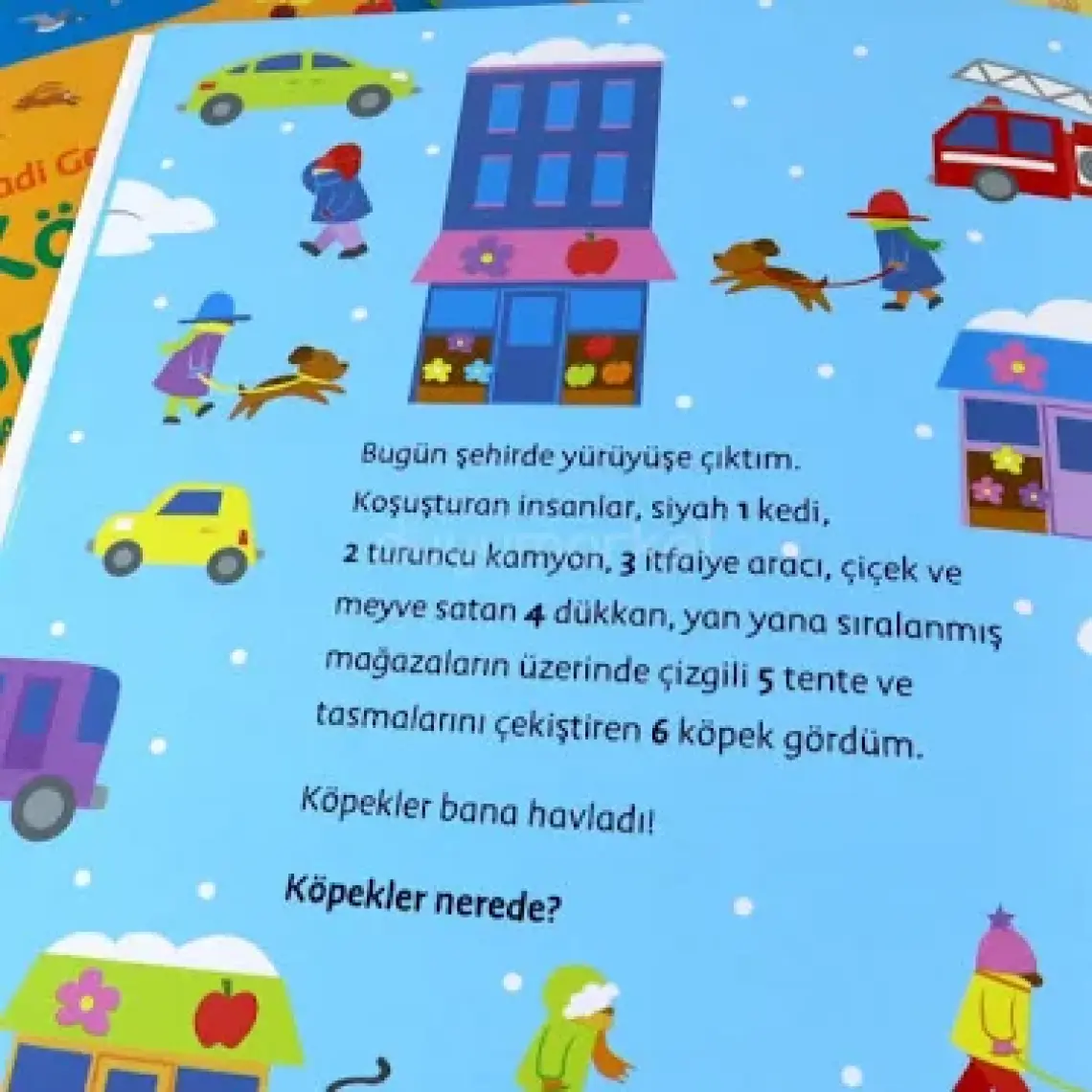 Hadi Gezelim Şehirde Kış Ara-bul Kitabı - Sue Tarsky 9786254050169