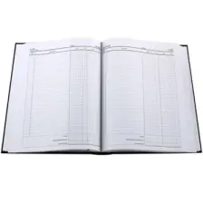 Bayındır Kasa Defteri 365 Yaprak 20X28 Brd0150