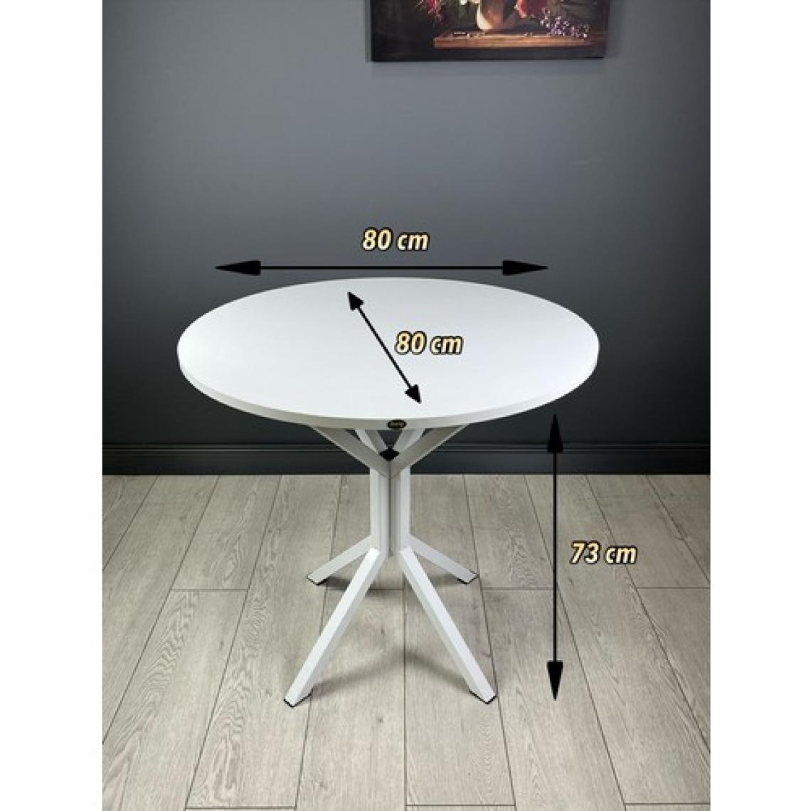 Hey Modüler Mobilya Saray Yuvarlak Mutfak Masası Yemek Masa Balkon Masa Fiskos Masa Metal Beyaz Ayak 80 cm