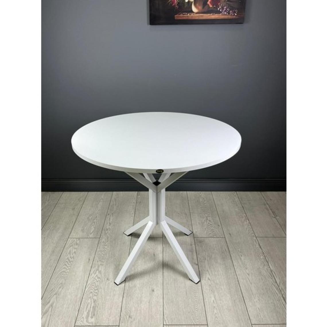 Hey Modüler Mobilya Saray Yuvarlak Mutfak Masası Yemek Masa Balkon Masa Fiskos Masa Metal Beyaz Ayak 80 cm
