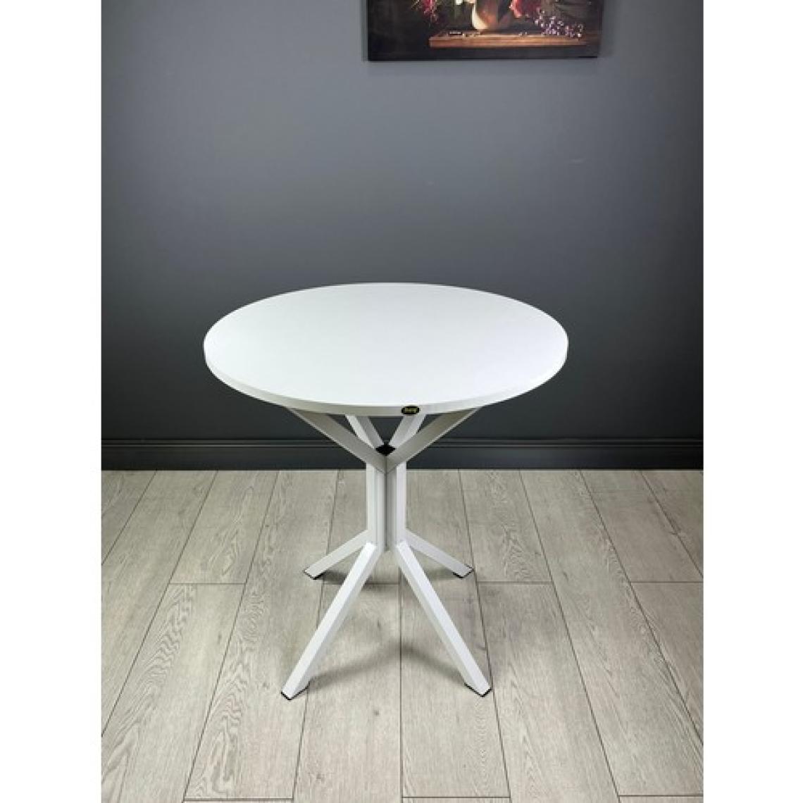 Hey Modüler Mobilya Nisa Yuvarlak Mutfak Masa Yemek Masa Balkon Masa Metal Beyaz Ayaklı 70 cm
