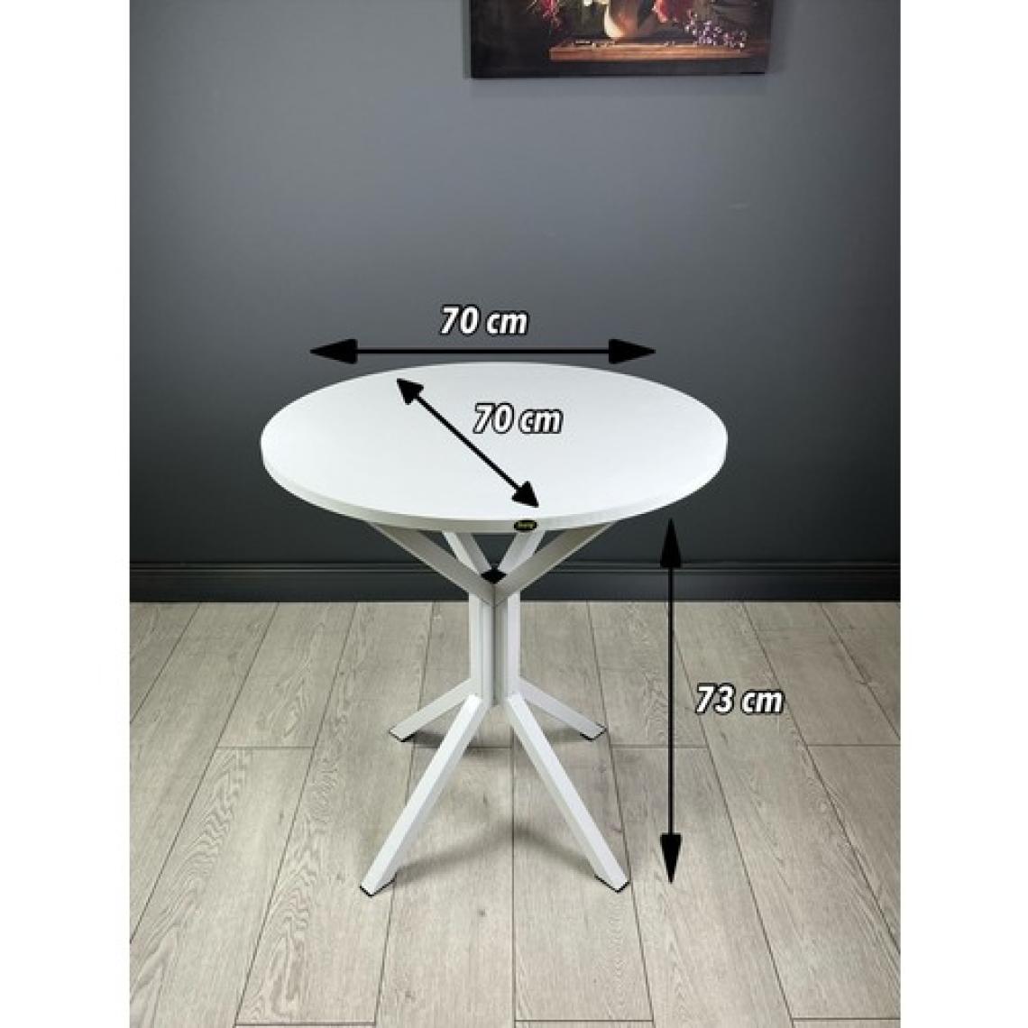 Hey Modüler Mobilya Nisa Yuvarlak Mutfak Masa Yemek Masa Balkon Masa Metal Beyaz Ayaklı 70 cm