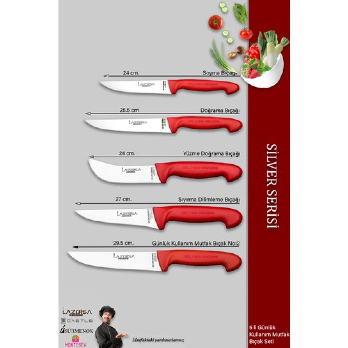 Lazbisa Silver Serisi Mutfak Bıçak Seti Et Ekmek Sebze Meyve Bıçağı 5 Li Set Günlük Kullanım ( Mtf-016)