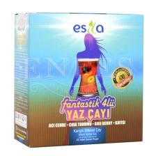 Fantastik Dörtlü Yaz Çayı 45 Poşet