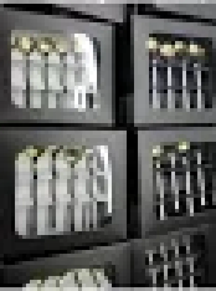 ÖzSa Home 6 Adet Lüx Gold Çay Kaşığı Kahve Nescafe Sunum Kaşık Seti Kutulu 12CM 18/10 Paslanmaz Çelik