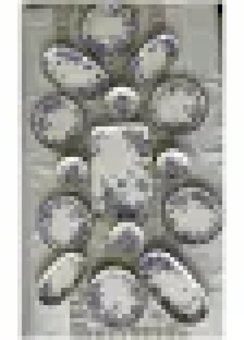 Gönül 15 Parça Kahvaltı Seti Spring Time G4187