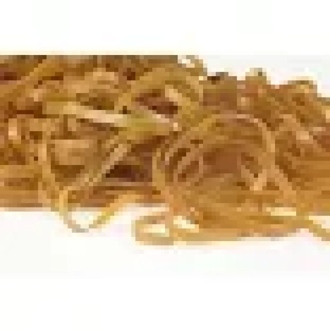 Proteks Geniş Lastik 100 mm 500 gr (Poşet)