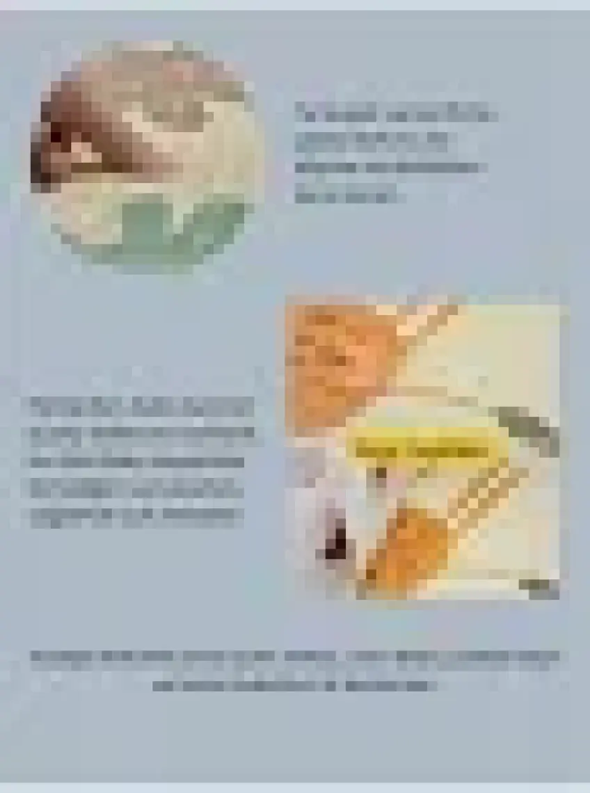 : Elfobaby Enjoy and Learn - Katlanabilir - Extra Large - Çift Yönlü - Oyun Halısı ve Matı 160X180 (Taşıma Çantalı)