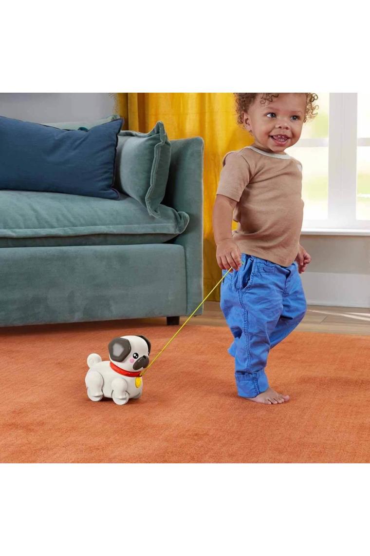 Fisher Price Minik Dostumla Yürüyüş HTW94