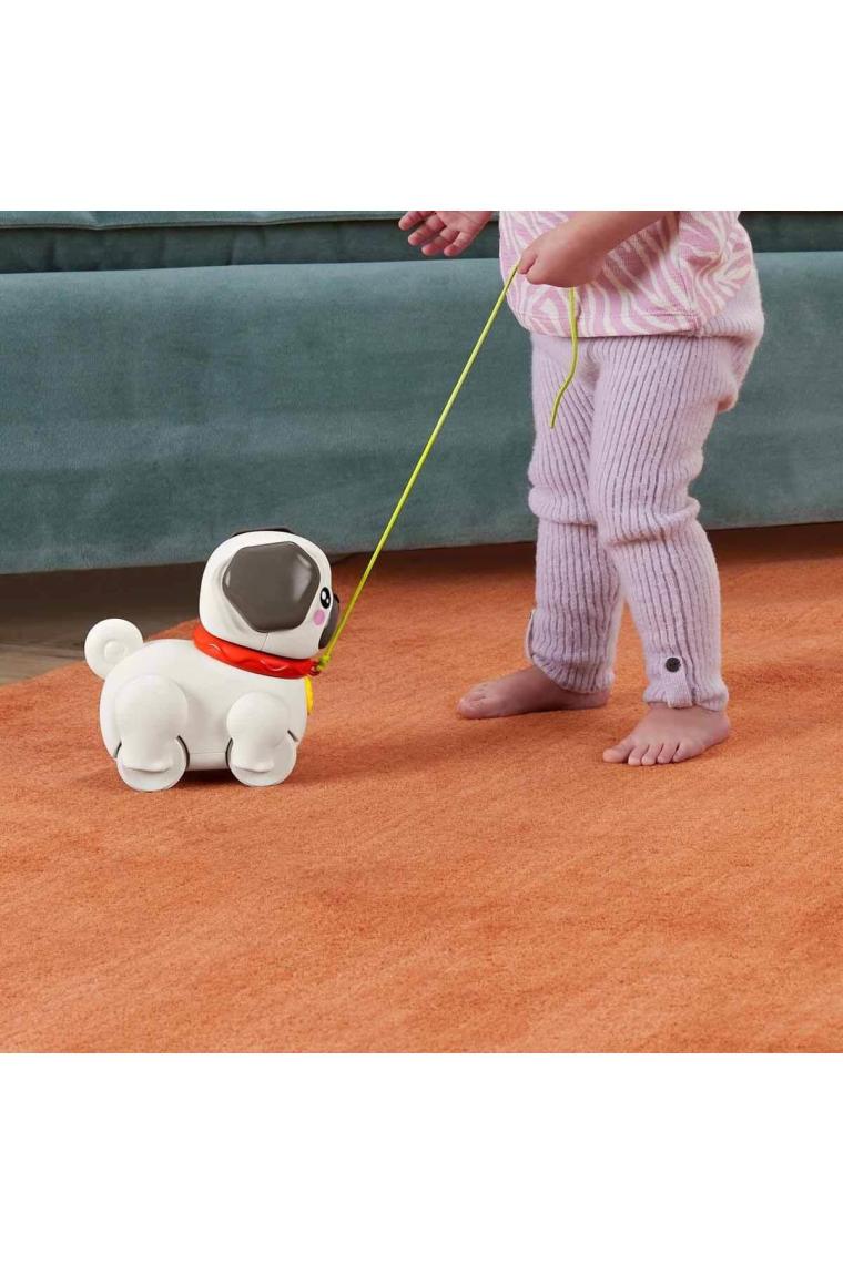 Fisher Price Minik Dostumla Yürüyüş HTW94