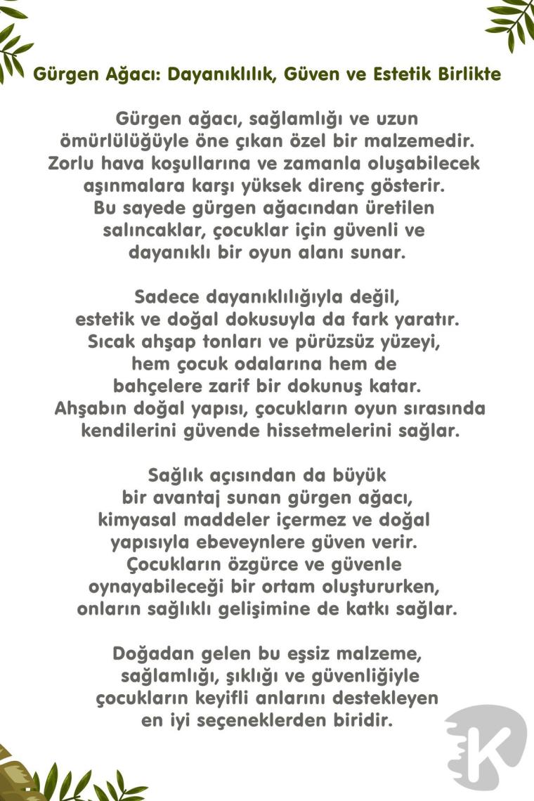 Hony Sallanan At Aslan A.kahverengi 1704