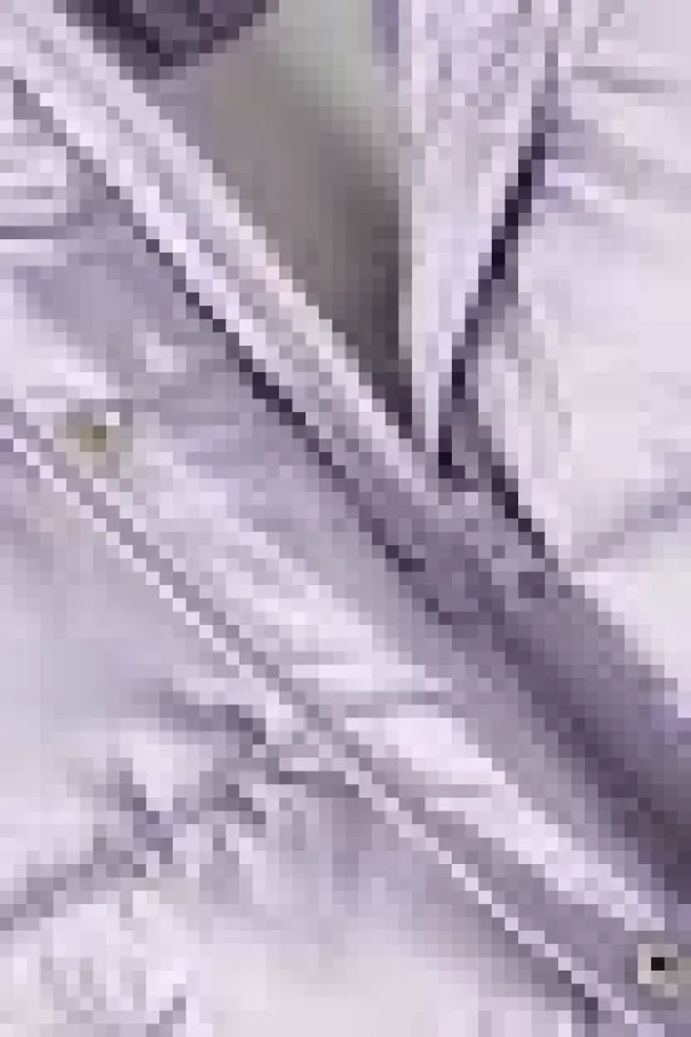 Name It NMFMAGGY PUFFER JACKET1 Mor Kız Çocuk Mont