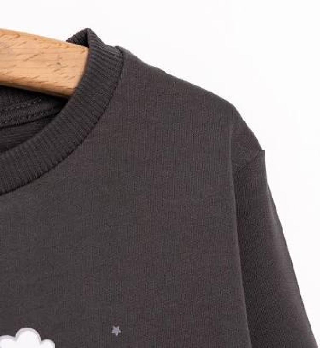 HelloBaby  Basic Az Şardonlu Aslan Desenli Sweatshirt Erkek Bebek