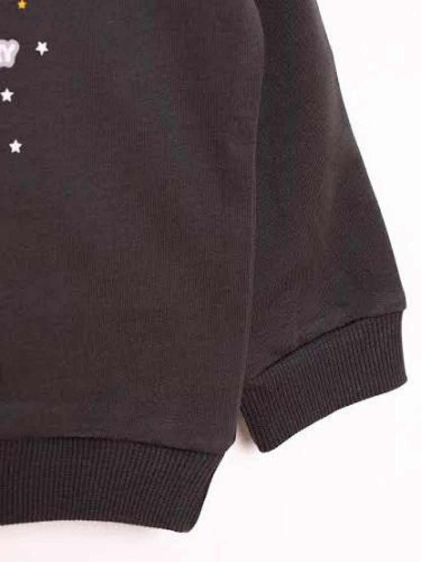 HelloBaby  Basic Az Şardonlu Aslan Desenli Sweatshirt Erkek Bebek