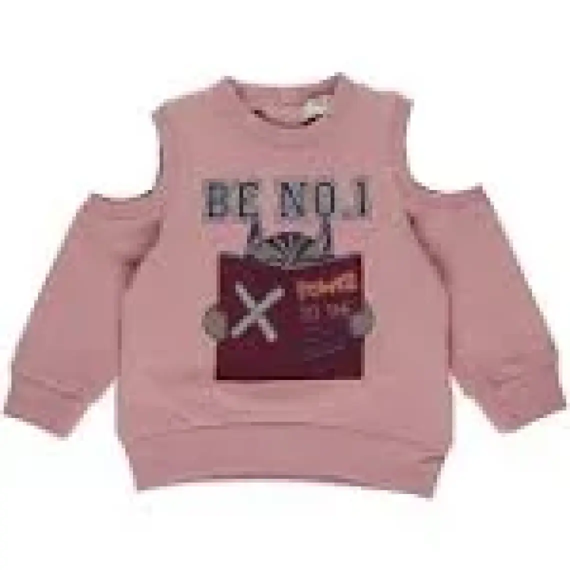 Panço Kız Bebek Sweatshirt 2221GB08016