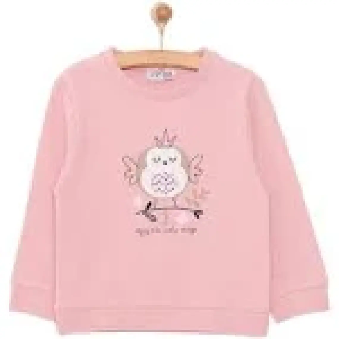 HelloBaby HelloBaby Basic Az Şardonlu Aslan Desenli Sweatshirt Kız Bebek