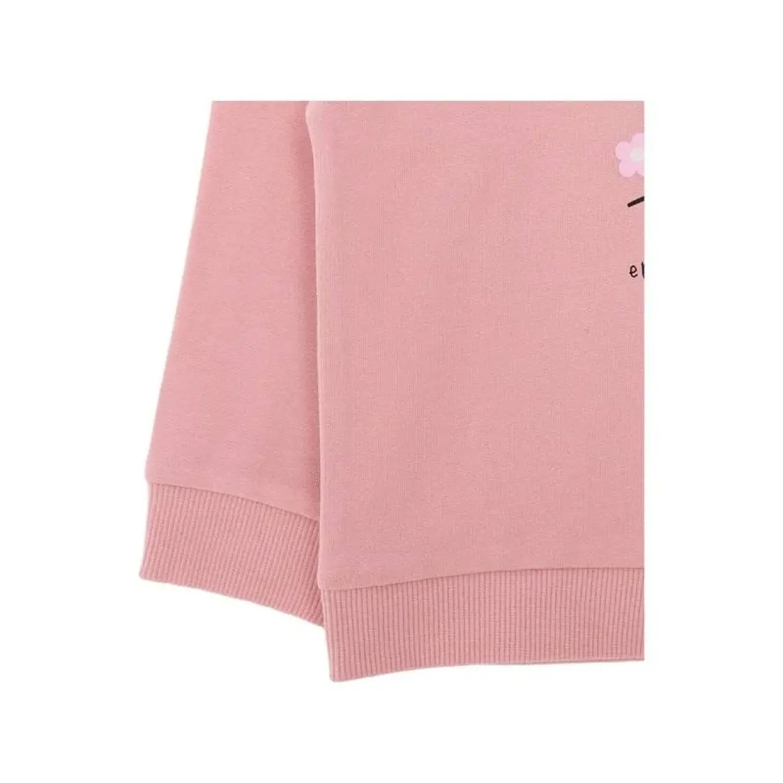 HelloBaby HelloBaby Basic Az Şardonlu Aslan Desenli Sweatshirt Kız Bebek