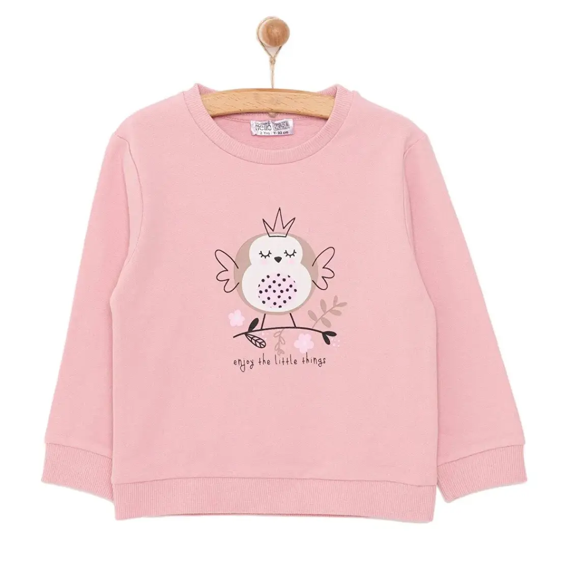 HelloBaby HelloBaby Basic Az Şardonlu Aslan Desenli Sweatshirt Kız Bebek