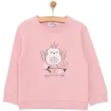 HelloBaby HelloBaby Basic Az Şardonlu Aslan Desenli Sweatshirt Kız Bebek