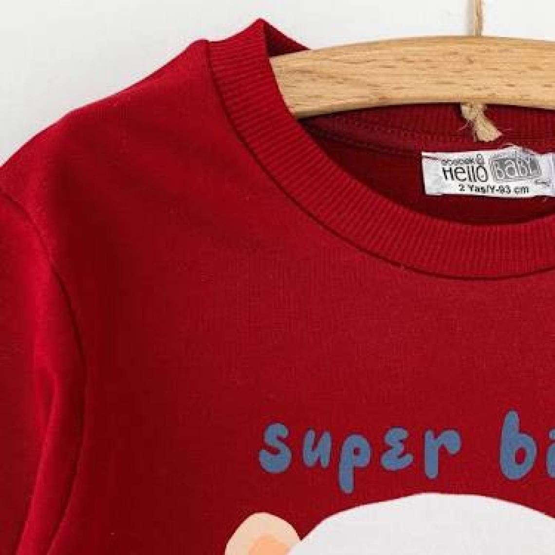 Hellobaby Basic Az Şardonlu Aslan Desenli Sweatshirt Erkek Bebek